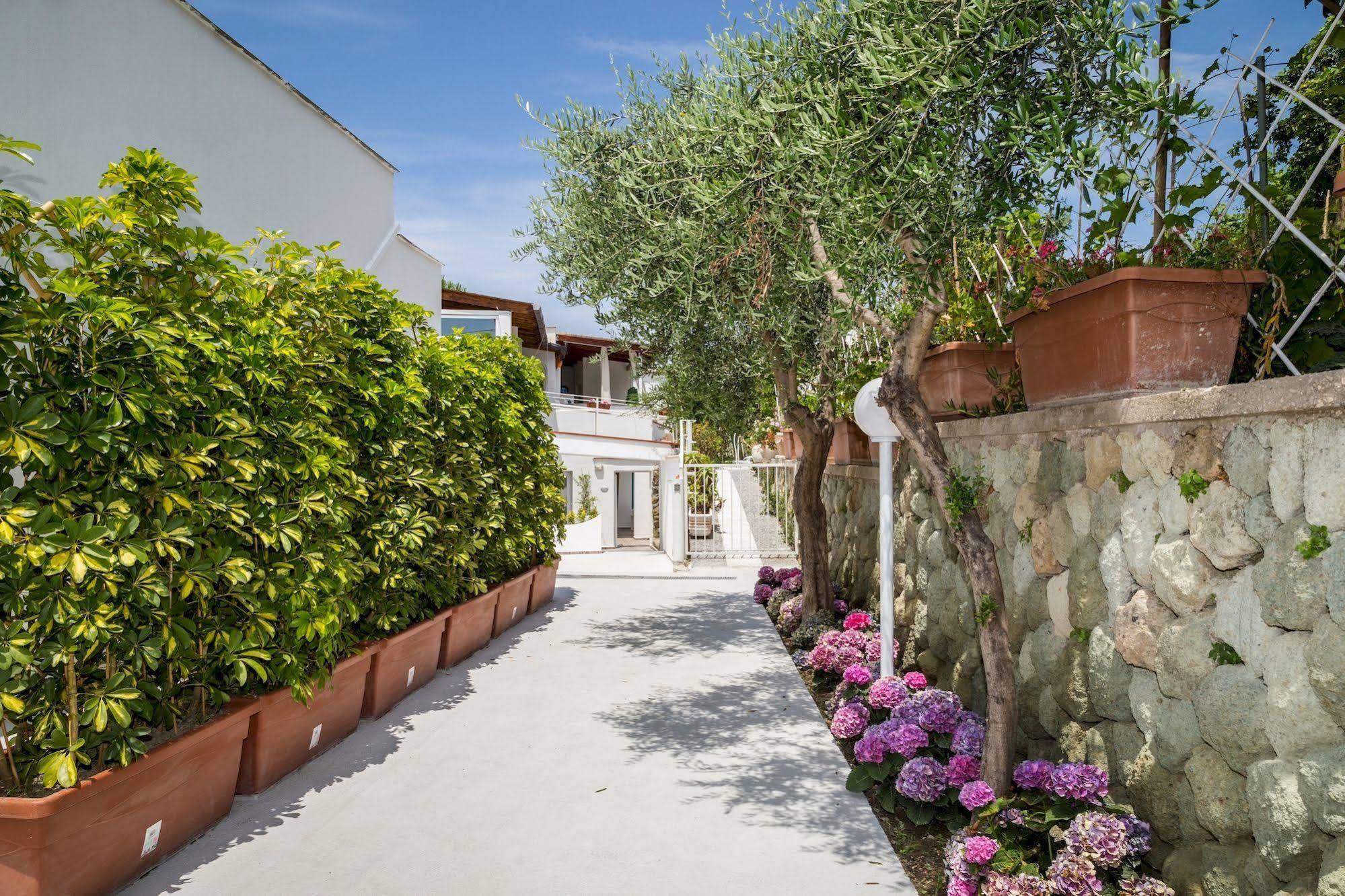 Relais Romildanna Bed and Breakfast Forio di Ischia Εξωτερικό φωτογραφία
